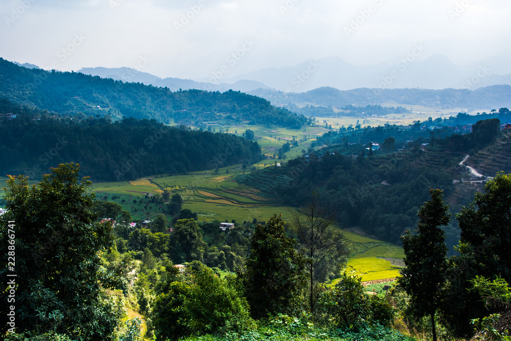 Nepal rice paddy field and village hill