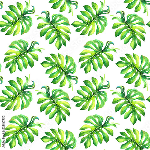 Colorful watercolor floral texture. Seamless botanical pattern with green monstera leaves isolated on white background. Tropical flowers for decoration, wrapping paper design, fabric, textile, banner