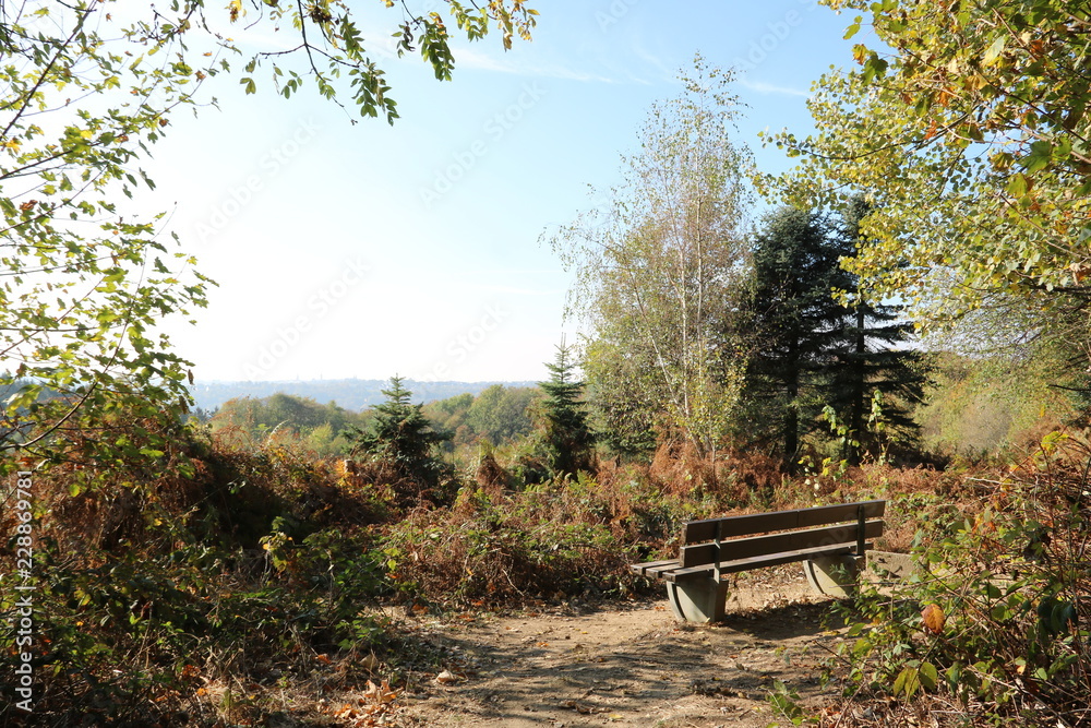 Bank lädt zum Verweilen ein in herbstlicher Natur Bank lädt zum Verweilen ein in herbstlicher Natur