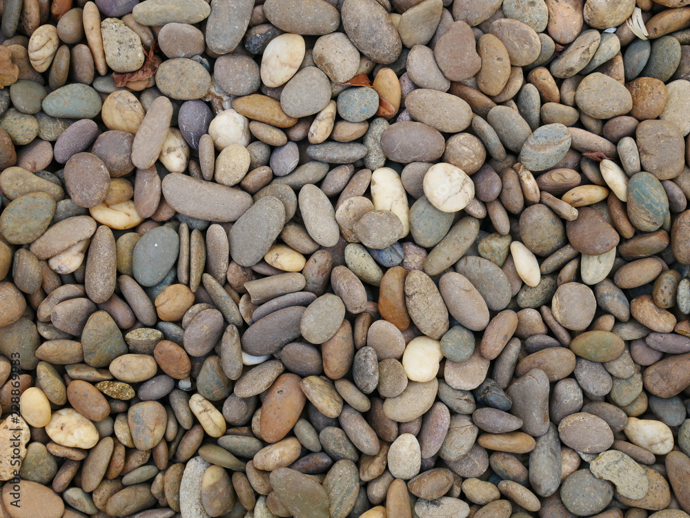 rock stone texture background,aroma stone in garden rock stone texture background,aroma stone in garden