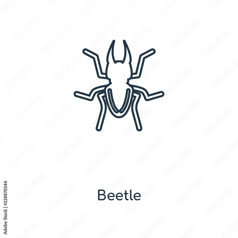 beetle icon vector