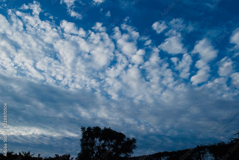 Fototapeta premium 秋の空