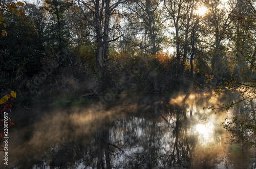 Autumn forest and river in the early morning, the first sun rays make their way through the branches of trees. The morning sun illuminates the forest, the river and the mist that rises above the water