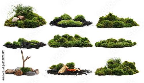 Set green moss isolated on white background and texture, with clipping path
