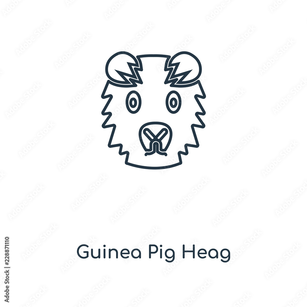 guinea pig heag icon vector