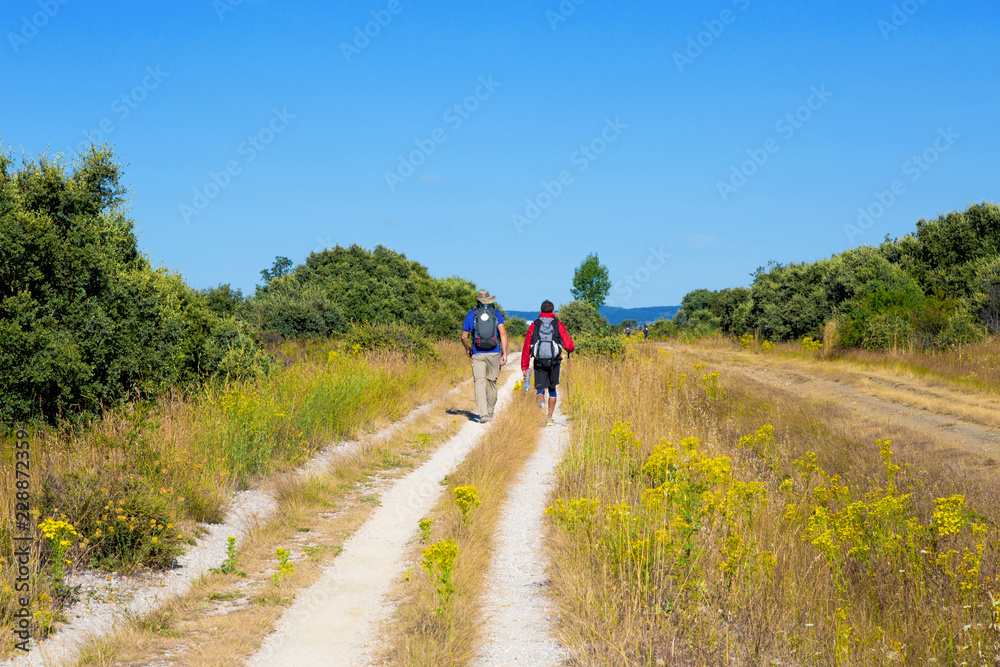 Camino de Santiago (Spain) - Pilgrims walking along the way of St.James, in the spanish meseta Camino de Santiago (Spain) - Pilgrims walking along the way of St.James, in the spanish meseta