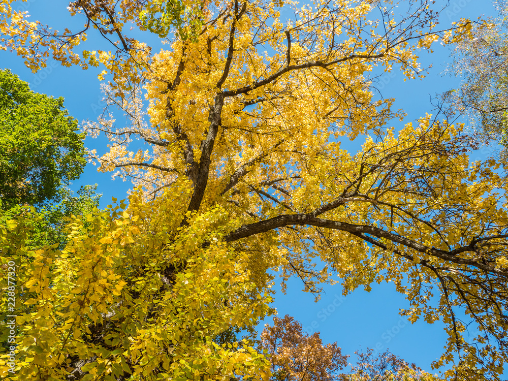 Farben Herbst Farben Herbst