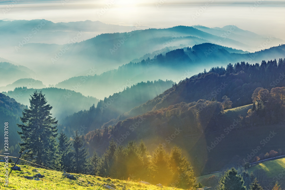Scenic mountain landscape. View on Black Forest in Germany, covered in fog. Colorful travel background.