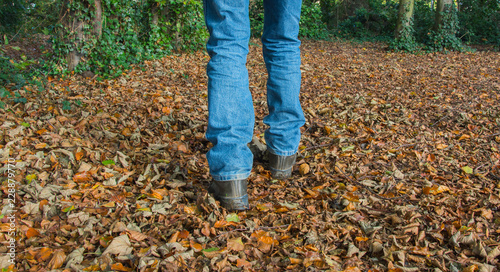 A man walks over a carpet of fallen leaves in a shady wood