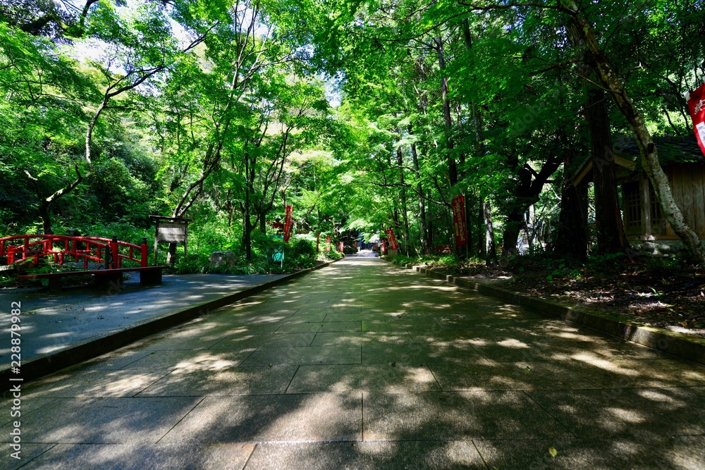 Obraz premium 日本の浜松の寺と塔