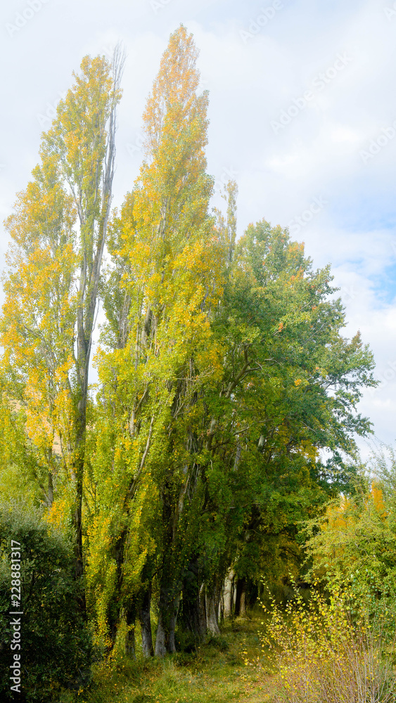 Naturaleza en el Pigalo Luesia en otoño