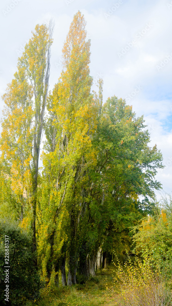 Naturaleza en el Pigalo Luesia en otoño Naturaleza en el Pigalo Luesia en otoño