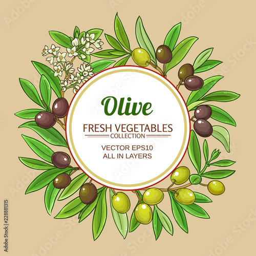 olive vector frame