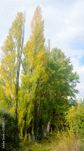 Naturaleza en el Pigalo Luesia en otoño