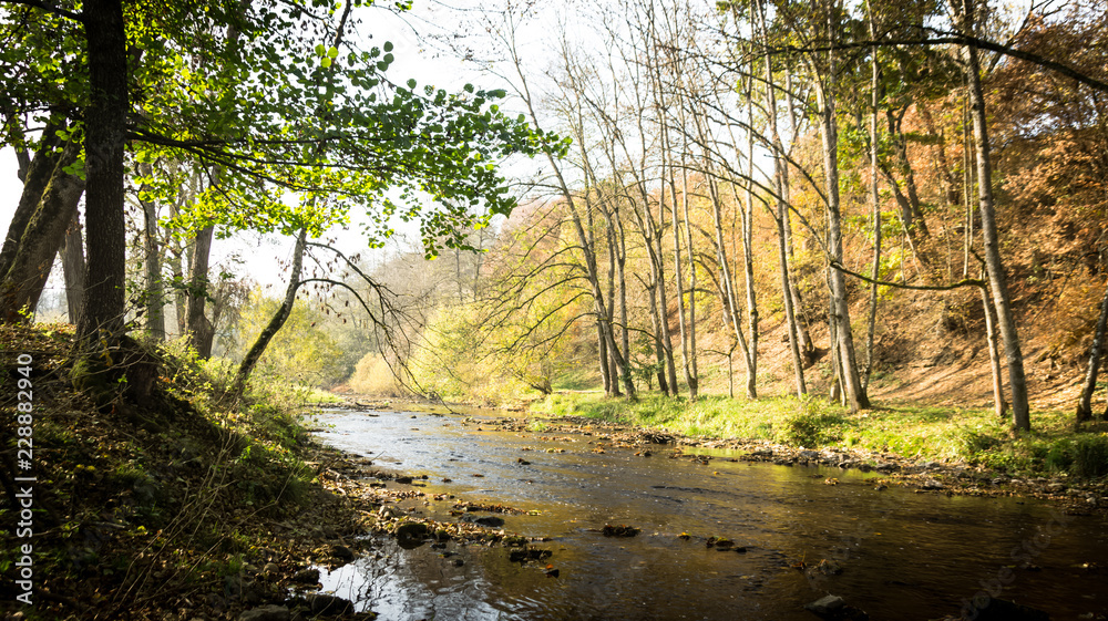 Trees and a River in Autumn on a sunny and cloudy day Trees and a River in Autumn on a sunny and cloudy day