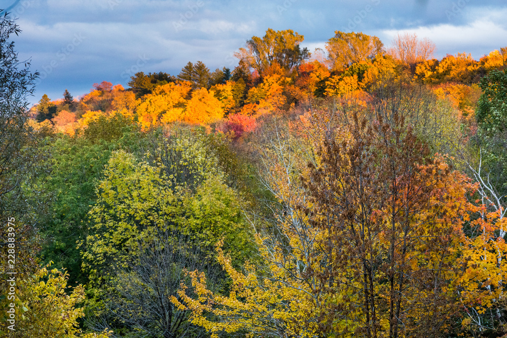 Fall colors, Quebec, Canada