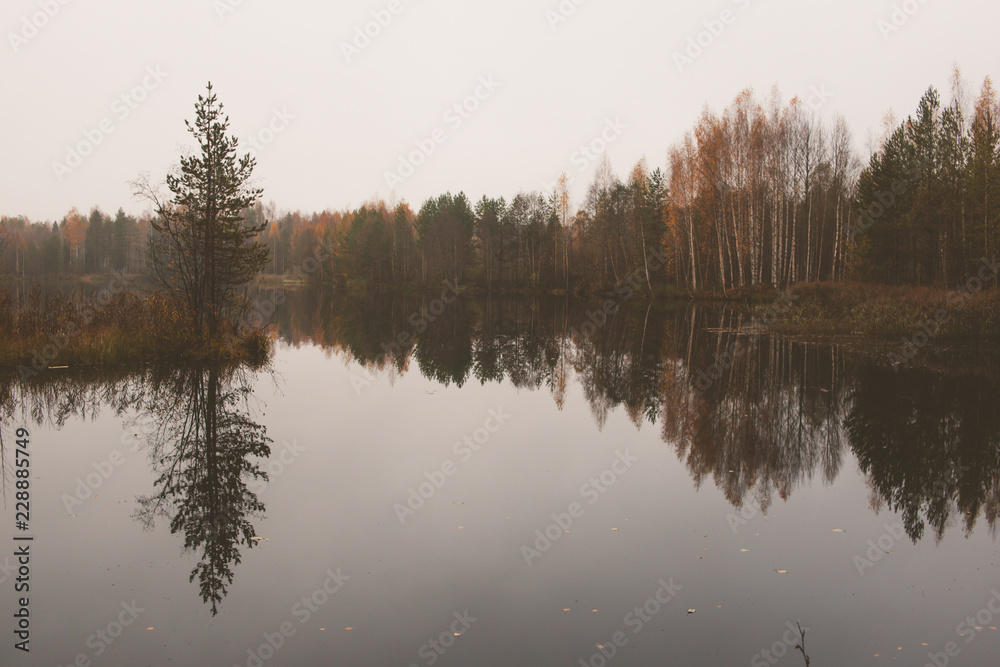 autumn forest is reflected in the mirror of the lake