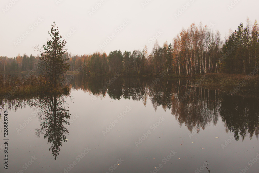 autumn forest is reflected in the mirror of the lake autumn forest is reflected in the mirror of the lake