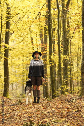 Two Siberian Husky walk in the autumn forest with their mistress. Girl in a hat in a knitted sweater and skirts with leggings. Black and white dogs and feathered leaves.