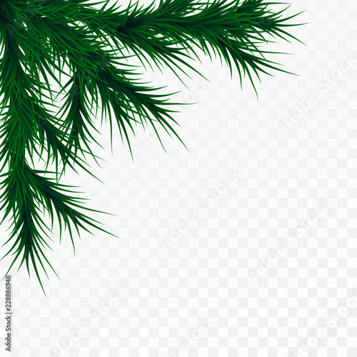 Vector christmas tree branches on white background. Pine tree decoration template. Christmas frame illustration  space for text.