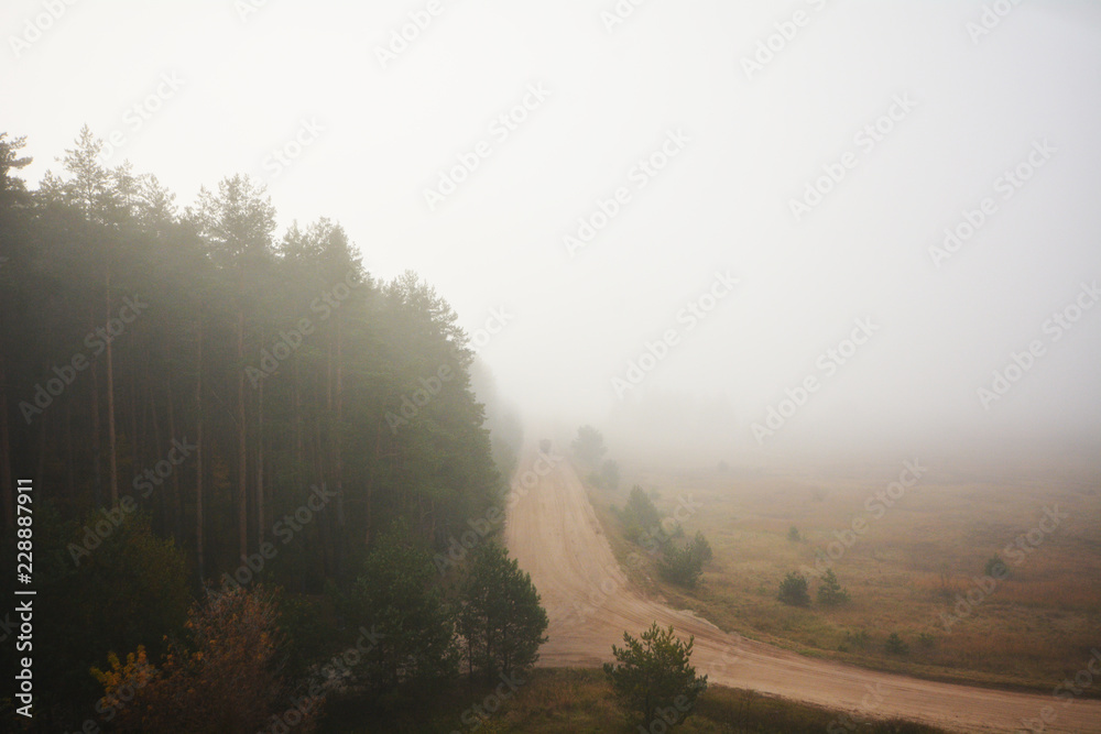 Truck is driving along the road in the morning in a thick fog Truck is driving along the road in the morning in a thick fog