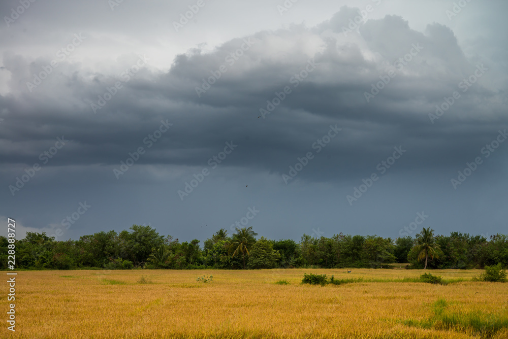 Rainstorm dark clouds is coming over countryside landscape, Thailand