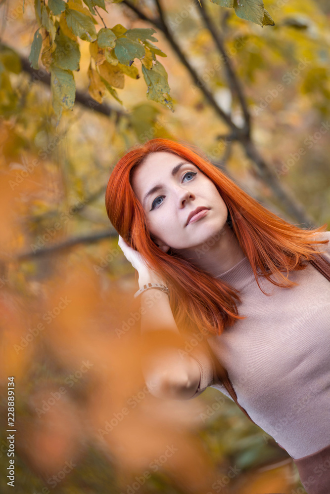 red fall red fall