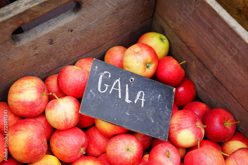 Crate of fresh red and yellow Gala apples at a farmers market