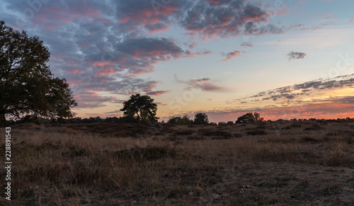 Westruper Heide