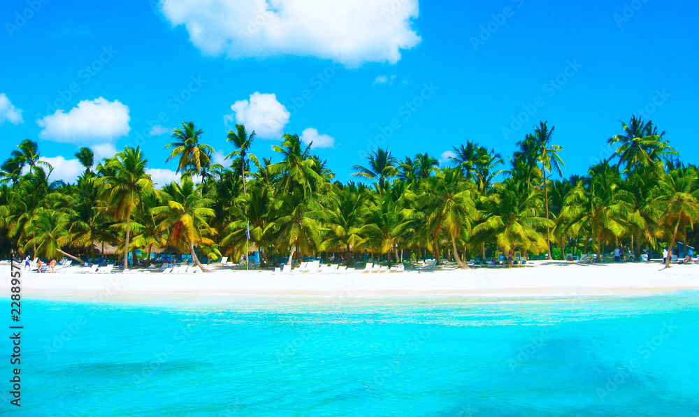 Tropical beach in caribbean sea, Saona island, Dominican Republic Tropical beach in caribbean sea, Saona island, Dominican Republic