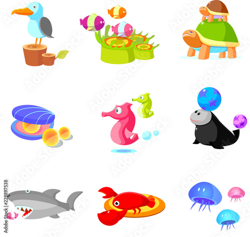 Close-up of various aquatic animals