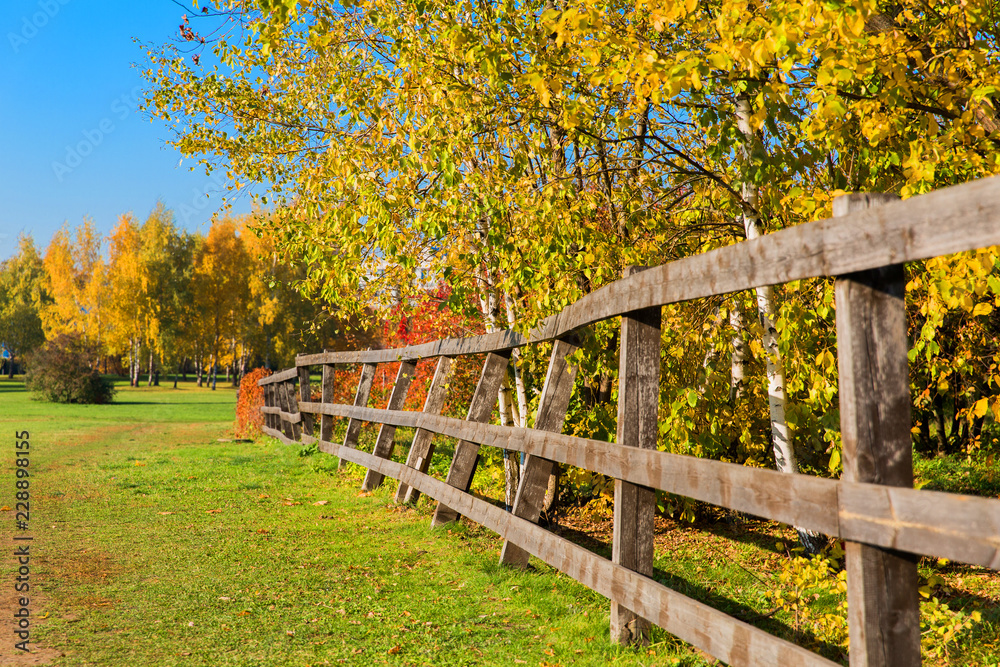 Beautiful autumn landscape. Wooden fence and plants in a village