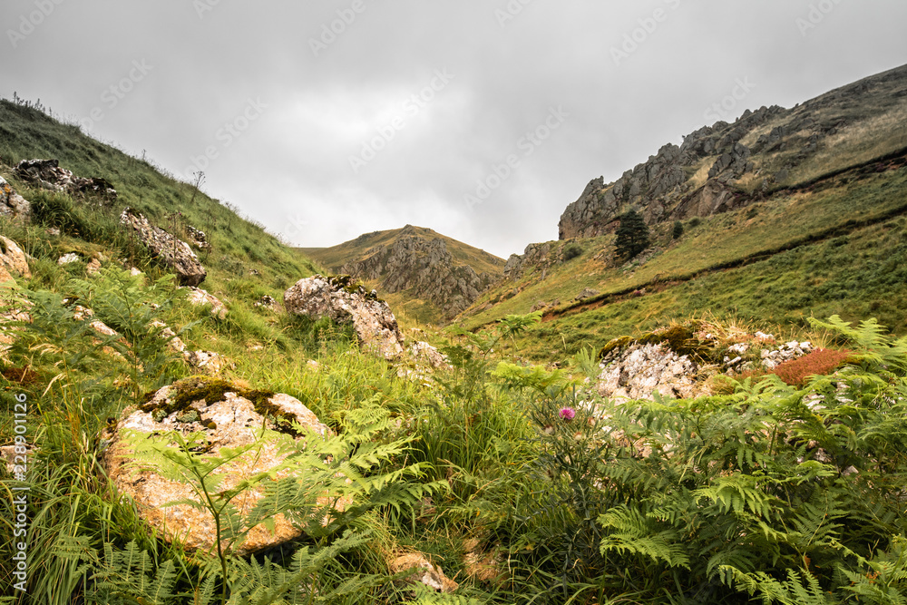 scenic landscape in Iraty mountains in summertime, basque country, france