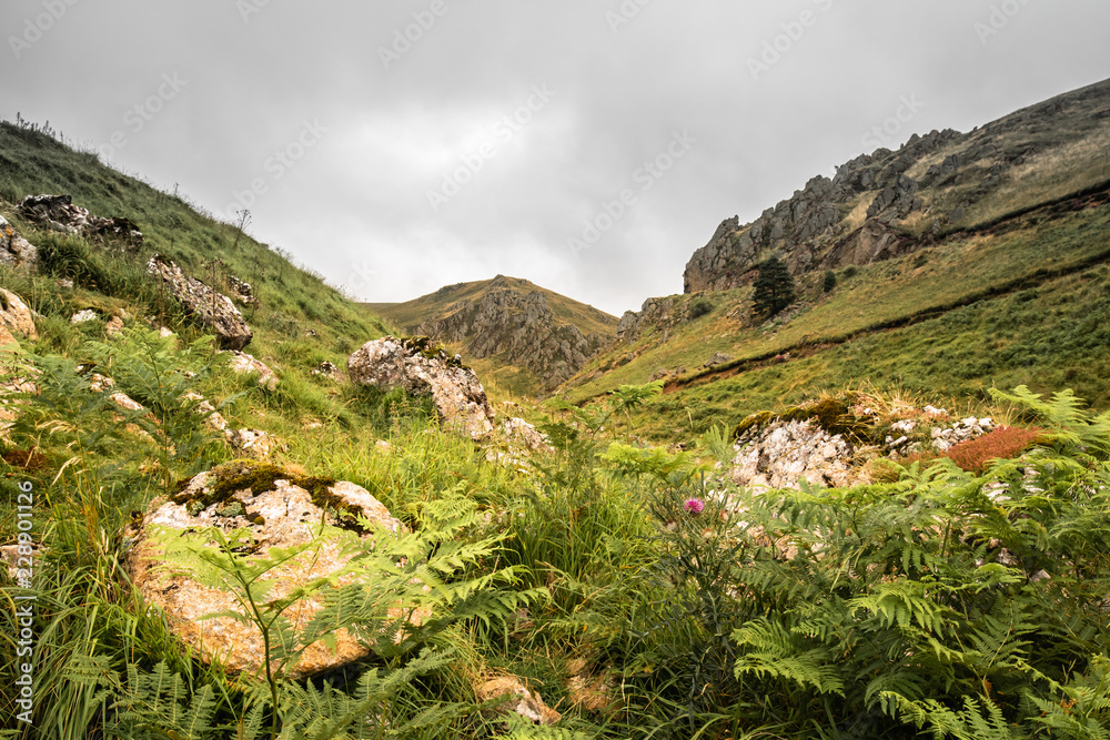 Obraz premium scenic landscape in Iraty mountains in summertime, basque country, france