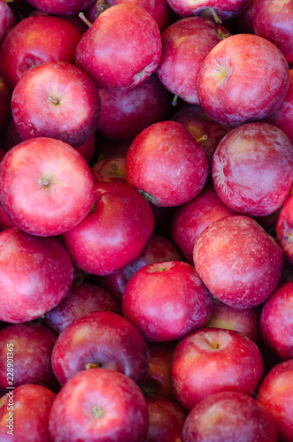 Closeup of fresh red apples in basket