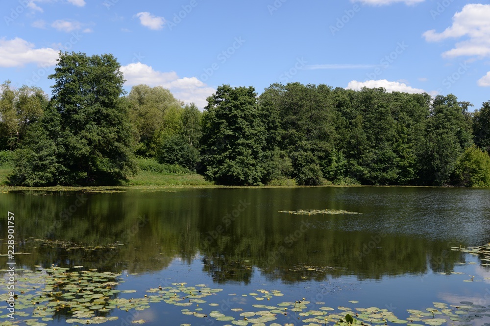 Lower Kuzminsky pond in the natural-historical park 