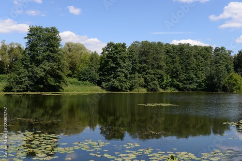 Lower Kuzminsky pond in the natural-historical park "Kuzminki-Lyublino"