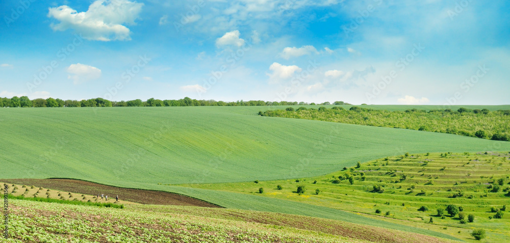 Landscape with hilly field and blue sky. Wide photo.