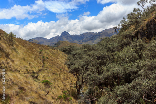 panoramic landscape of cajas national park, ecuador