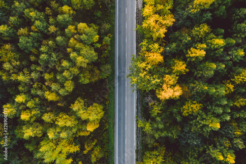 A road crossing a forest in autumn colors