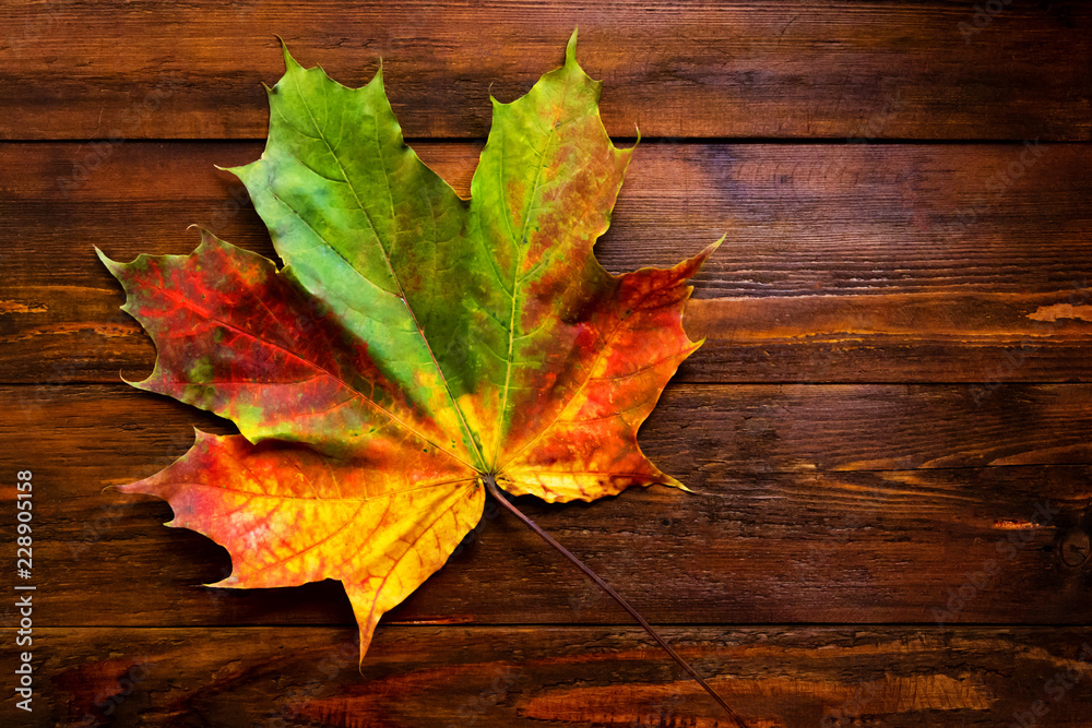 Autumn background of yellow and colored leaves, on a wooden background