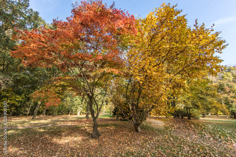 herbst herbst