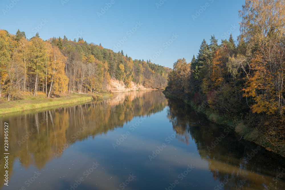 Quiet autumn river