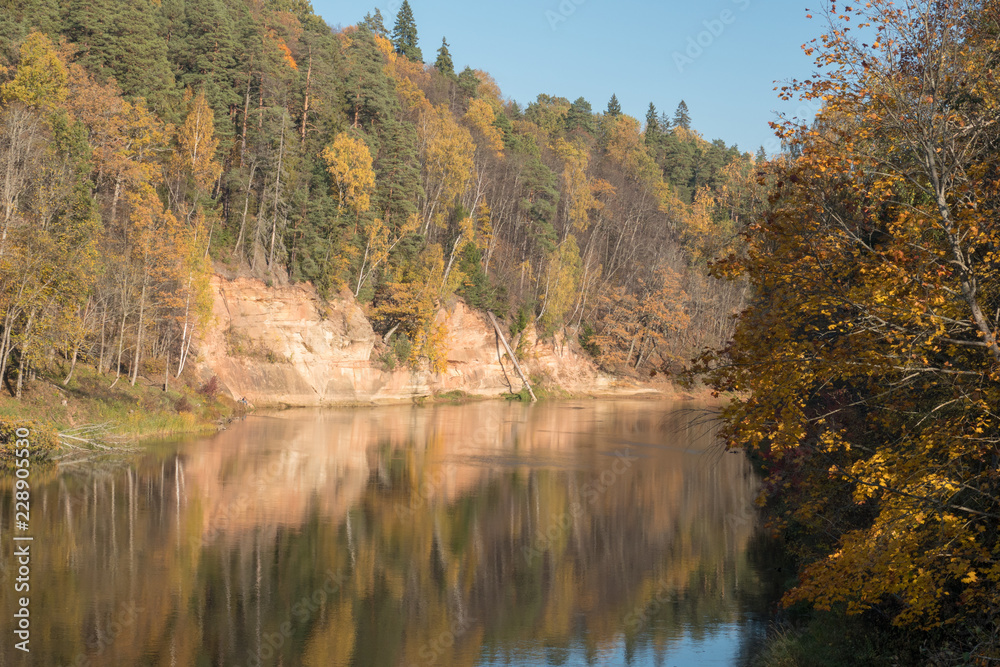 Reflection of yellow trees on the river