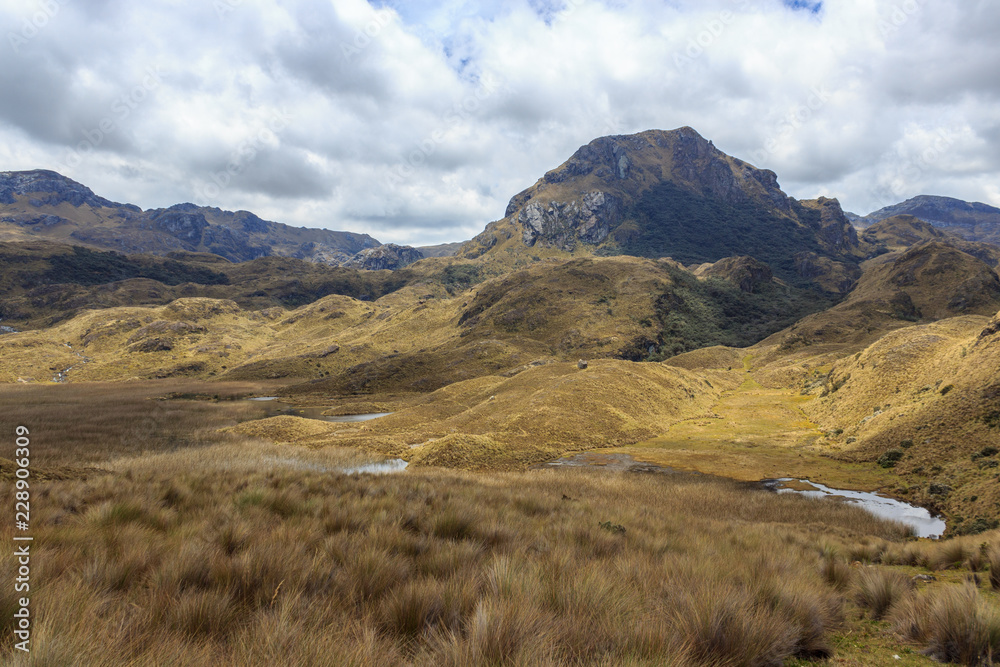 panoramic landscape of cajas national park, ecuador panoramic landscape of cajas national park, ecuador