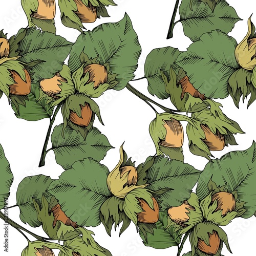 Vector autumn plant hazel nut. Leaf plant botanical garden floral foliage. Seamless background pattern. Fabric wallpaper print texture. Vector leaf for background, texture, wrapper pattern.