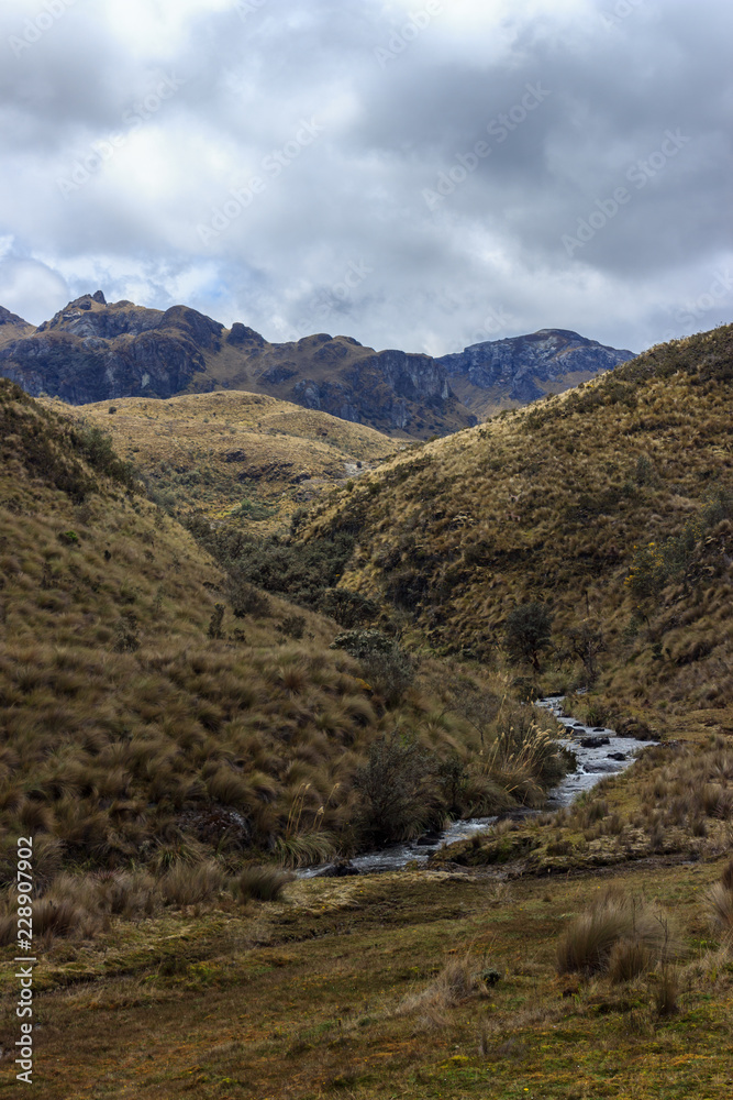 panoramic landscape of cajas national park, ecuador panoramic landscape of cajas national park, ecuador