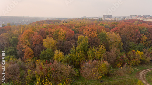 Aerial view of the colorful autumn city park. Beautiful view of nature.