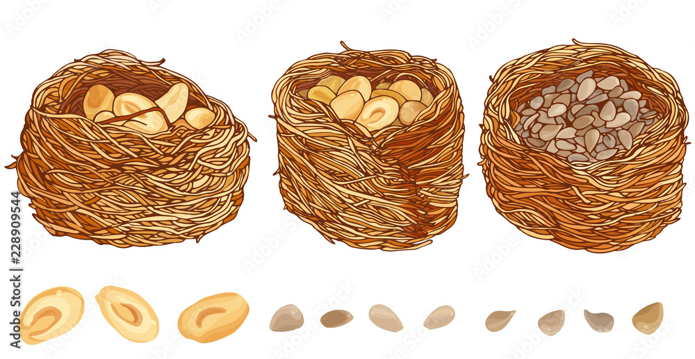 Set Kunafah with peanuts and seeds vector illustration on white background.