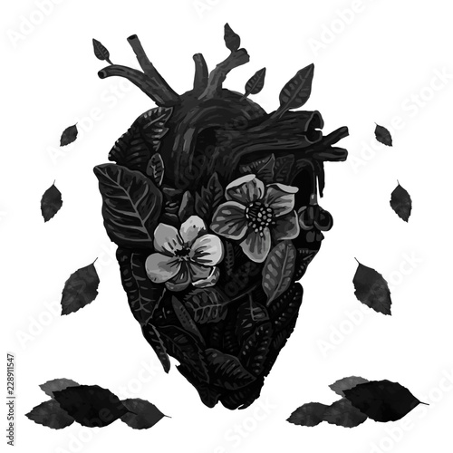 flor, floral, flor, mariposa, naturaleza, dechado, abstracta, designio, blanco, decoraciones, rosa, rojo, fábrica, aislada, ilustración, hojas, rosa, arte, florecer, huerta, primavera, corazón, morada